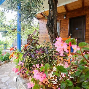 Holiwood Albanien